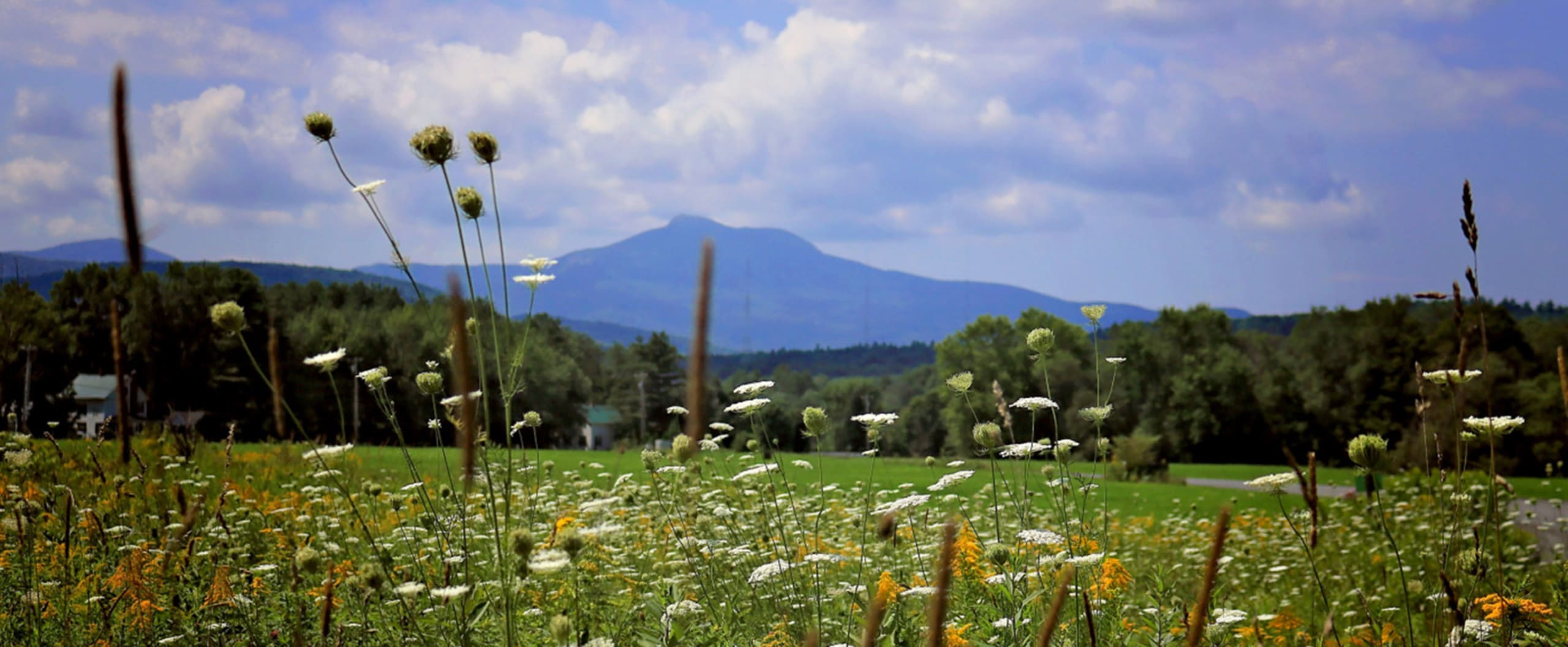 Wallace Realty Bristol, Vermont Gateway to the Green Mountains